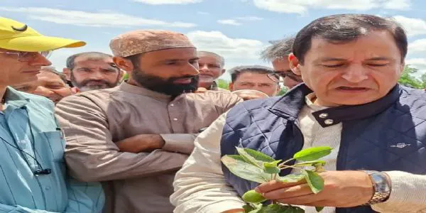 جموں و کشمیر میں دو ماہ کے اندر فصل انشورنس اسکیم کا امکان