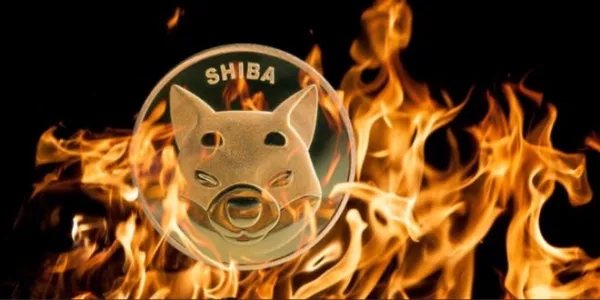 Top 24-Hour SHIB Burners Revealed - You Won't Believe Who Made the List!