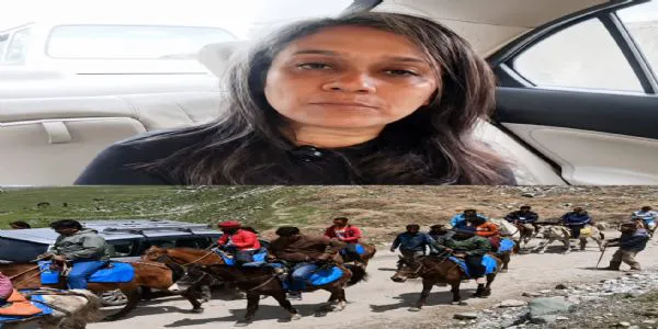 سونمرگ میں سواریوں کے لیے زخمی گھوڑے کا استعمال ،سیاح کی طرف سے سخت کارروائی کا مطالبہ