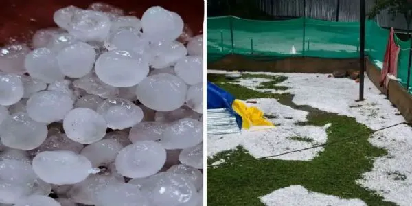 رازدان ٹاپ پر برفباری, کشمیر کے میدانی علاقوں میں ژالہ باری
