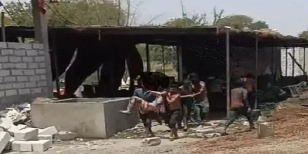 ایم پی کے دیواس میں پٹاخہ فیکٹری میں دھماکے کے بعد بھیانک آگ لگی، تین کی موت، 25 مزدور زخمی