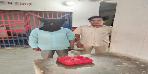سیوان میں 15.60 گرام اسمیک کے ساتھ اسمگلر گرفتار