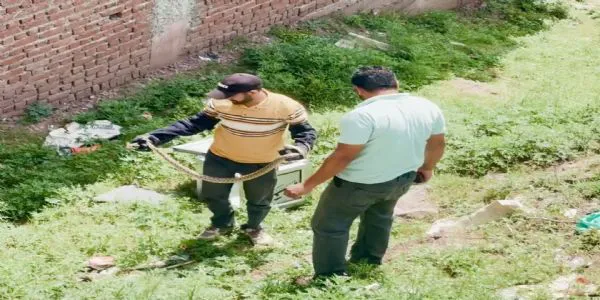 وائلڈ لائف کی ٹیم نے جال میں پھنسے دو سانپوں کو ریسکیو کیا۔