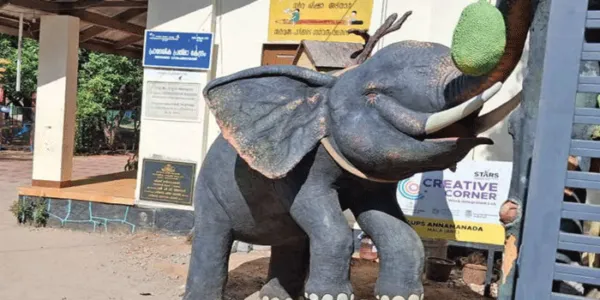 മൂന്നു ബൂത്തുകളുള്ള സ്കൂള്‍ മുറ്റത്ത് തലയുയര്‍ത്തി നില്ക്കുന്നു ചക്ക പറിക്കാൻ നില്‍ക്കുന്ന ആന! ഈ ചിഹ്നങ്ങളെ  വോട്ടര്‍മാരുടെ കാഴ്ചപരിധിയില്‍ നിന്നു മാറ്റാനുള്ള പരക്കം പാച്ചിലില്‍ പോളിങ് ഓഫീസര്‍മാര്‍