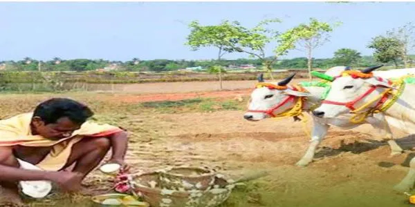 Akshaya Tritiya Celebrated Across Odisha with Traditional Agrarian Rituals