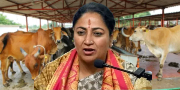 देहली शासन मोकाट गायींसाठी गोशाळा बांधणार !