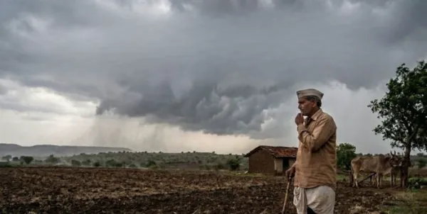 १ जून पासून वादळी पावसाचा अंदाज, मात्र शेतकऱ्यांनी पेरणीची घाई करू नये - कृषी आणि आपत्ती व्यवस्थापन विभाग