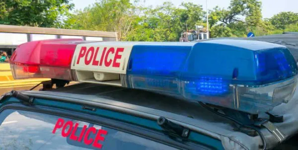 Police dispose of large cache of seized drugs in Amritsar