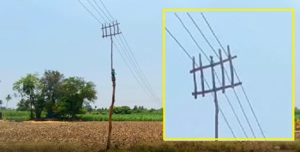கள்ளக்குறிச்சி: மின்கம்பங்களுக்குப் பதிலாக மரக்குச்சிகள்! விளைநிலங்களில் உயிரை பறிக்கும் அபாயம் - அதிகாரிகள் கவனத்திற்கு!