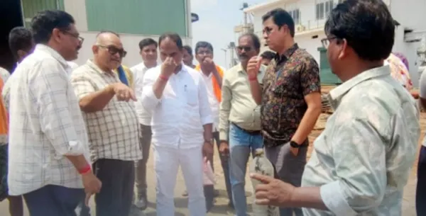 ମକା କାରଖାନା ପାଣି ପିଇ ମଲେଣି ୨୫ ଗୋରୁ