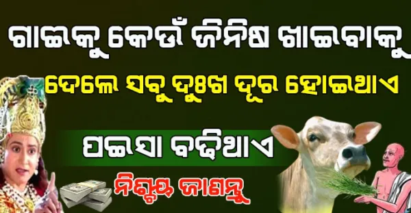 ଗାଈକୁ ଖୁଆଇ ଦିଅନ୍ତୁ ଏହି ଜିନିଷ ! ଜୀବନରେ ଥିବା ଗରିବୀର ଅନ୍ତ ହୋଇଯିବ. Sadhu Vani