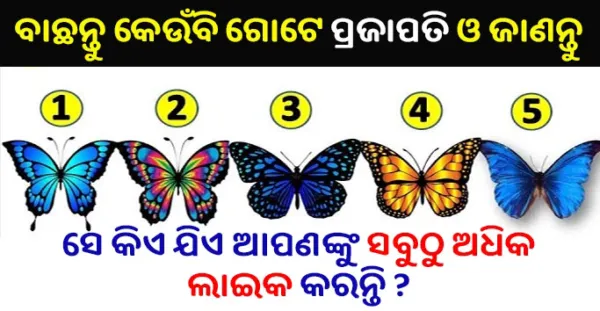 ବାଛନ୍ତୁ କେଉଁବି ଗୋଟେ ପ୍ରଜାପତି ଓ ଜାଣନ୍ତୁ ସେ କିଏ ଯିଏ ଆପଣଙ୍କୁ ସବୁଠୁ ଅଧିକ ପସନ୍ଦ କରନ୍ତି ! -Personlaity Test