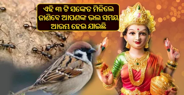 ଯଦି ଆପଣଙ୍କ ଆଖପାଖରେ ଘଟୁଛି ଏହି ସବୁ ଘଟଣା ତେବେ ବୁଝି ଯାଅନ୍ତୁକି ଆପଣଙ୍କର ଭଲ ସମୟ ଆରମ୍ଭ ହେଇ ଯାଇଛି