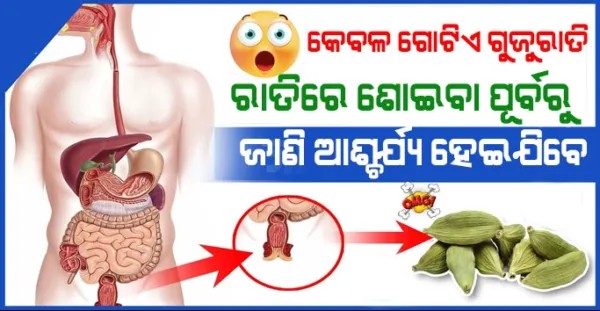 Ayurvedic Health Tips: ରାତିରେ କେବଳ 2 ଟି ଗୁଜୁରାତି ଖାଇ ଗରମ ପାଣି ପିଇ ଦିଅନ୍ତୁ, ଏତେ ଫାଇଦା ଆପଣଙ୍କୁ ଏକ କୋଟି ଟଙ୍କା ଖର୍ଚ୍ଚ କଲେ ବି ମିଳିବନି