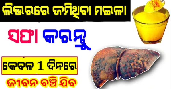 Liver ରେ ଜମିଥିବା ମଳିଆ ସଫା କରନ୍ତୁ କେବଳ 1 ଦିନରେ, ଏହାକୁ ପାଣିରେ ମିଶାଇ ପିଇ ନିଅନ୍ତୁ ବଞ୍ଚିଯିବ ଜୀବନ (Health Tips)