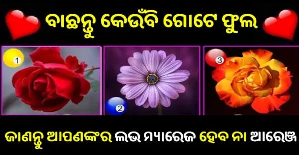 ବାଛନ୍ତୁ ନିଜ ପସନ୍ଦର କୌଣସି ଗୋଟିଏ ଫୁଲ ଓ ଜାଣନ୍ତୁ ଆପଣଙ୍କର ଲଭ ମ୍ୟାରେଜ ହେବ ନା ଆରେଞ୍ଜ- Love Quiz Game