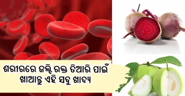 ଶରୀରରେ ହୀମୋଗ୍ଲୋବିନ କମ ରହୁଛି କି? ତ ବଟିକା ନୁହେଁ ବରଂ ଖାଆନ୍ତୁ ହୀମୋଗ୍ଲୋବିନ ବଢାଉଥିବା ଏହି ସବୁ ଫଳ ଓ ଖାଦ୍ୟ