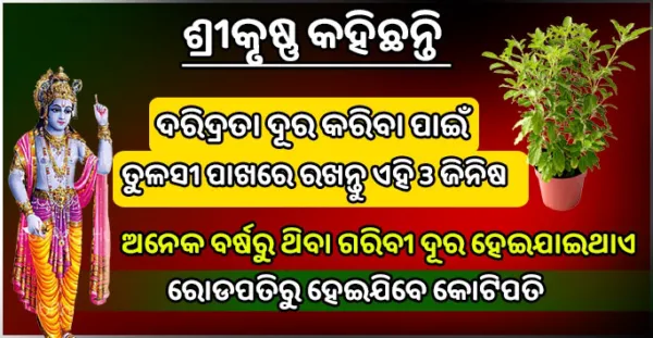ଭଗବାନ ଶ୍ରୀ କୃଷ୍ଣ କହିଛନ୍ତି, ଦରିଦ୍ରତା ଦୂର କରିବା ପାଇଁ ତୁଳସୀ ପାଖରେ ରଖନ୍ତୁ ଏହି 3 ଟି ଜିନିଷ, ରୋଡପତି ବି ହେଇଯାଏ କୋଟିପତି- Vastu Tips