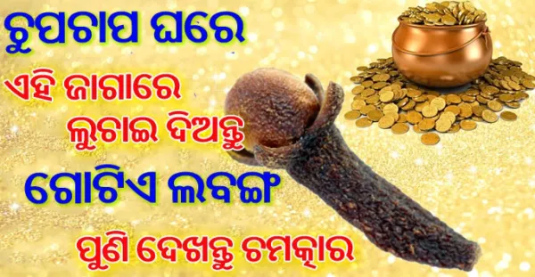ଚୁପଚାପ ଘରେ ଏହି ଜାଗାରେ ଲୁଚାଇ ଦିଅନ୍ତୁ ଏକ ଲବଙ୍ଗ, ପୁଣି ଦେଖନ୍ତୁ ଚମତ୍କାର, ବର୍ଷିବ ମା' ଲକ୍ଷ୍ମୀଙ୍କ କୃପା