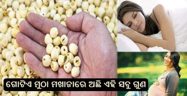 ଏହାକୁ ଖାଇବାର ଫାଇଦା ଜାଣିଲେ ଆପଣ ସବୁଦିନ ଖାଇବାକୁ ଚାହିଁବେ, ଗୋଟିଏ ମୁଠା ମଖାନାରେ ଅଛି ଡାଇବେଟିସ ଭଳି ରୋଗକୁ ନିୟନ୍ତ୍ରଣ କରିବାର ଗୁଣ