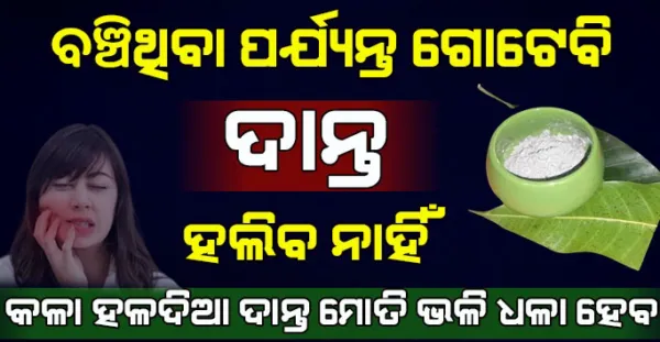 ବଞ୍ଚିଥିବା ପର୍ଯ୍ୟନ୍ତ ଗୋଟେବି ଦାନ୍ତ ହଲିବ ନାହିଁ, କଳା ହଳଦିଆ ଦାନ୍ତ ମୋତି ଭଳି ଧଳା ହେବ, Home remedy