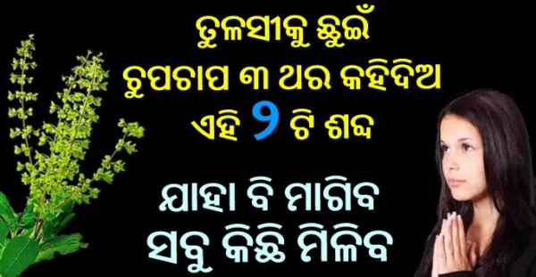 ତୁଳସୀ ଗଛକୁ ଛୁଇଁ ଚୁପଚାପ କହି ଦିଅନ୍ତୁ ଏହି ଦୁଇଟି ଶବ୍ଦ, ଯାହା ମାଗିବେ ତାହା ମିଳିବ