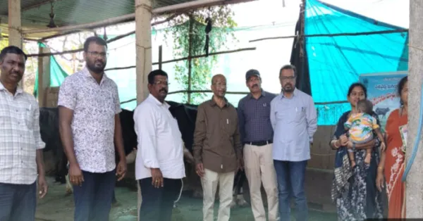 ఉచిత గాలికుంటి వ్యాధి టీకాలు.