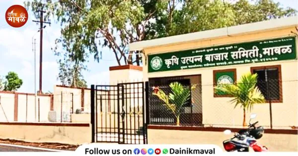 भाजपाचा धोबीपछाड, नेत्यांचा थयथयाट ! बाजार समितीतील राष्ट्रवादीच्या सर्व संचालकांना राजीनामे देण्याचे आदेश ? नक्की काय घडलं