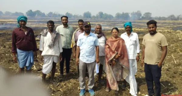 పల్సి లో మొక్కజొన్న పంట దగ్ధం