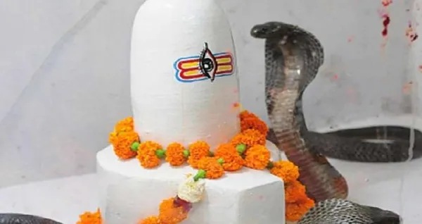 ନାଗପଞ୍ଚମୀ ଦିନ କରନ୍ତୁ ଏହି ଉପାୟ, ସର୍ପଦୋଷରୁ ମିଳିବ ମୁକ୍ତି