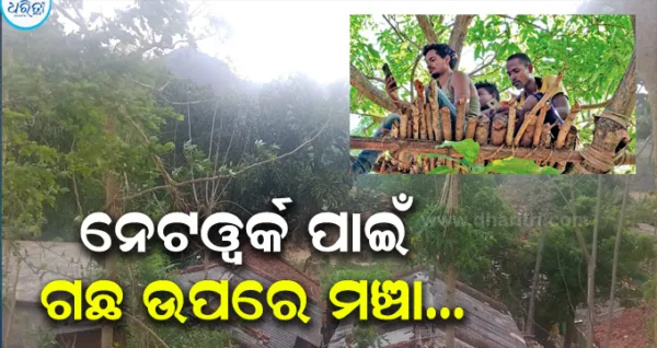 ଡିଜିଟାଲ ଇଣ୍ଡିଆ ନାରା ପ୍ରହସନ: ନେଟୱର୍କ ପାଇଁ ଗଛ ଉପରେ ମଞ୍ଚା, ବିପଦସଙ୍କୁଳ ଅବସ୍ଥାରେ ପାଠ ପଢୁଛନ୍ତି କୋମଳମତି ଶିଶୁ