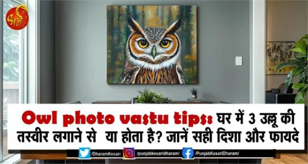 Owl photo vastu tips: घर में 3 उल्लू की तस्वीर लगाने से क्या होता है? जानें सही दिशा और फायदे