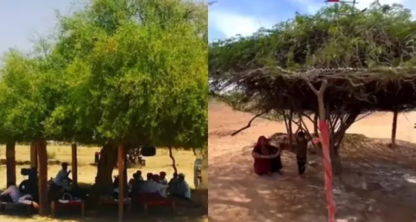 Meet Mithi Jal: The Natural 'Desi AC' Helping Rajasthan Beat 45°C Heat