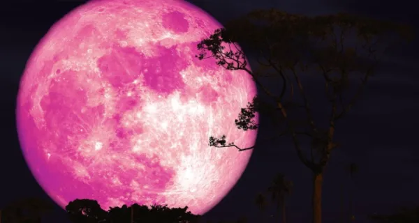 Pink Moon 2026: When and How to Watch Spring's First Full Moon