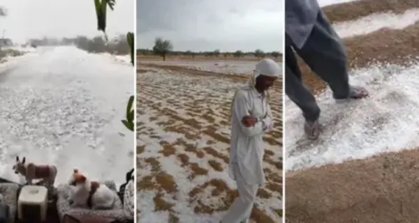 Bikaner Turns White: Rare Hailstorm Transforms Rajasthan's Desert Landscape
