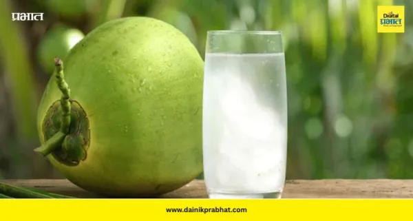 Coconut Water Benefits: उन्हाळ्यातील सुपर ड्रिंक; नारळपाण्यात 'ही' गोष्ट मिसळा आणि मिळवा दुहेरी फायदे!