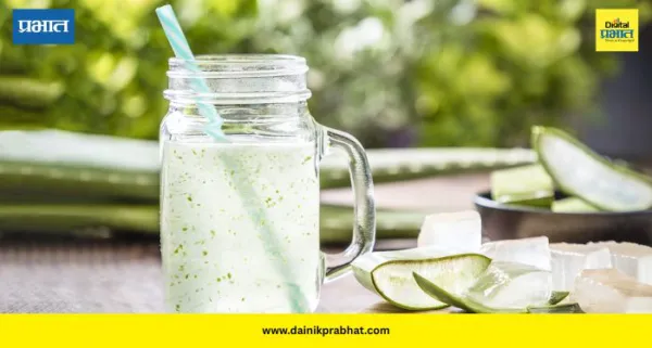 Aloe Vera Juice: उन्हाळ्यात रोज सकाळी प्या 'हे' ज्यूस; त्वचेवर येईल नैसर्गिक चमक, पोटाच्या समस्या होतील दूर!