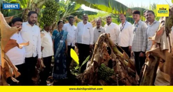 Crop Damage : पुरंदरमध्ये निसर्गाचा तांडव! जेऊरमध्ये ६०% केळी भुईसपाट; शेतकऱ्याच्या कष्टावर फिरलं पाणी