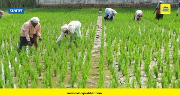 Farmer Loan : महाराष्ट्रात ऐतिहासिक कर्जमाफी! ३६ कोटींची योजना मंजूर; ५६ लाख शेतकऱ्यांना मिळणार लाभ