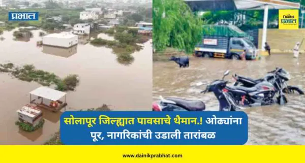 Solapur : सोलापूर जिल्ह्यात पावसाचे थैमान.! ओढ्यांना पूर, नागरिकांची उडाली तारांबळ