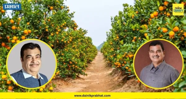 Orange Farming: केंद्र आणि राज्य सरकार आले एकत्र! संत्रा-मोसंबी उत्पादकांसाठी घेतला 'हा' मोठा निर्णय