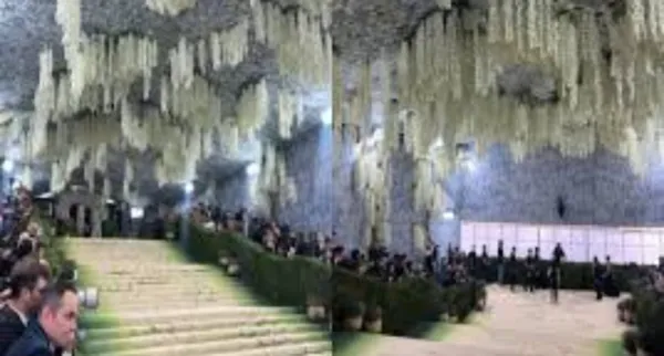The Met Gala 2026 Red Carpet Isn't Red Anymore-And That's the Point