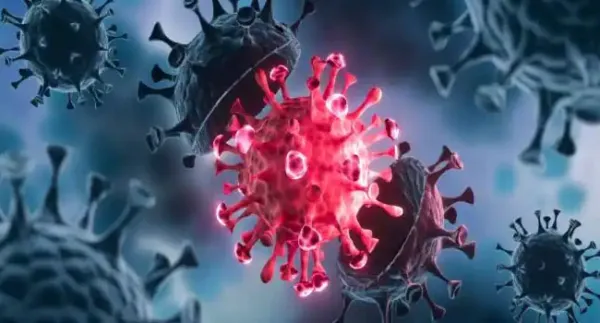 తెలంగాణలో మళ్లీ పెరుగుతున్న కరోనా కేసులు