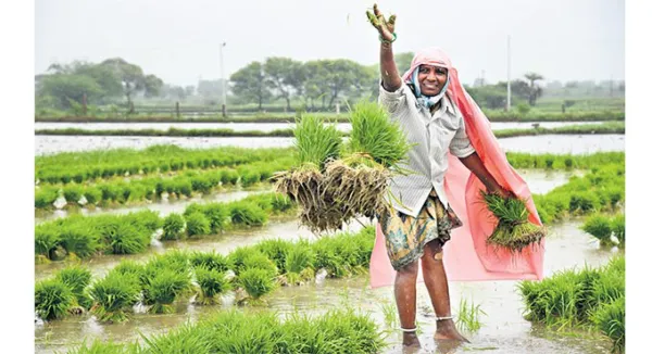 Telangana tapping companies moving out of China, says KTR