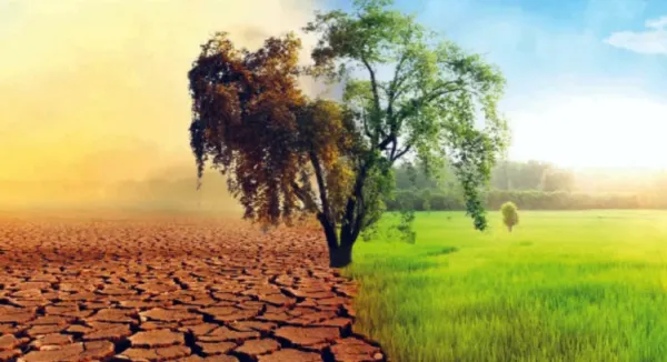 ଜଳବାୟୁର କୁପ୍ରଭାବ