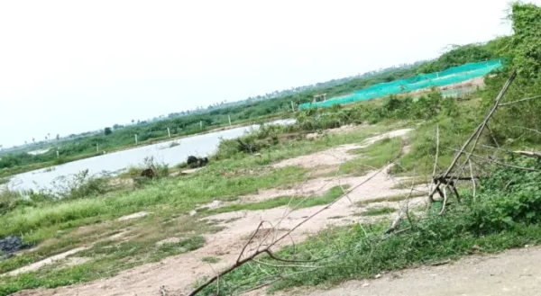 చెరువుల్లో పట్టా భూములు