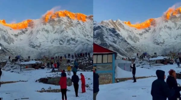'When light meets mountains': Mount Annapurna's 'golden-hour moment' goes viral