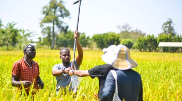 New International Network Launched To Transform Environmental Monitoring And Climate-smart Farming Across Africa