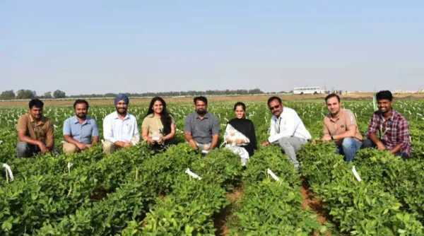 ICRISAT Scientists Decode the Genetics Behind Seed Coat Removal in Industry-Ready Groundnut
