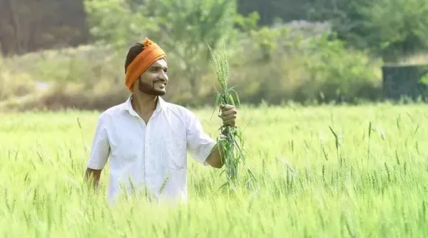 पीएम किसान सम्मान निधि: 23वीं किस्त से पहले तुरंत सुधारें ये गलतियां, नहीं तो रुक जाएगा पैसा